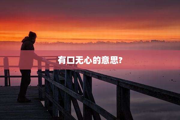 有口无心的意思?