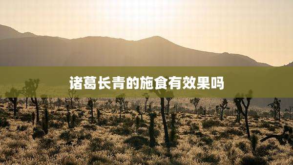 诸葛长青的施食有效果吗