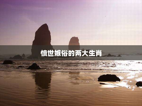 愤世嫉俗的两大生肖