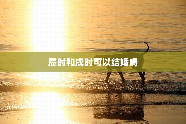 辰时和戌时可以结婚吗
