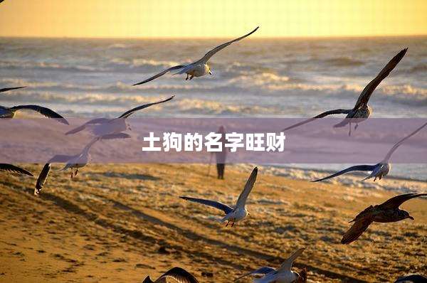 土狗的名字旺财