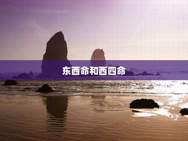 东西命和西四命