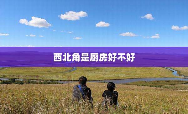 西北角是厨房好不好