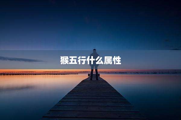 猴五行什么属性