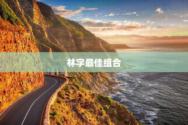 林字最佳组合