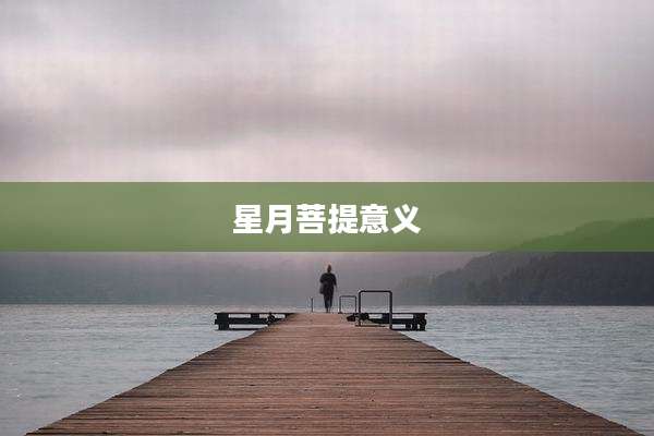 星月菩提意义