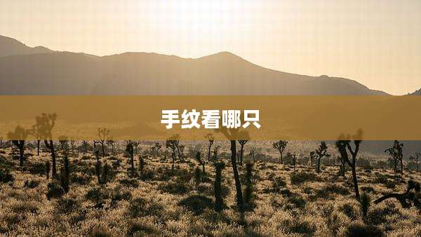 手纹看哪只