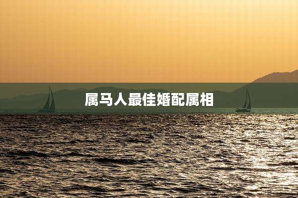 属马人最佳婚配属相