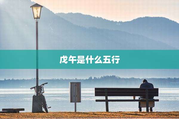 戊午是什么五行