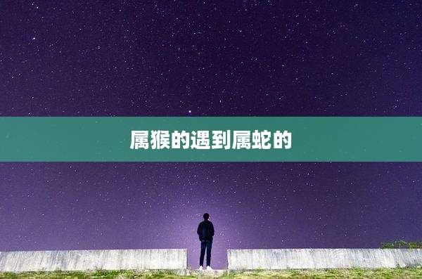 属猴的遇到属蛇的
