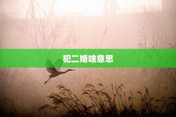 犯二婚啥意思