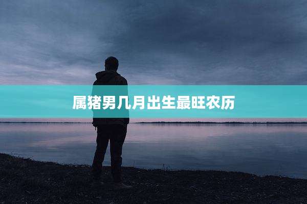 属猪男几月出生最旺农历