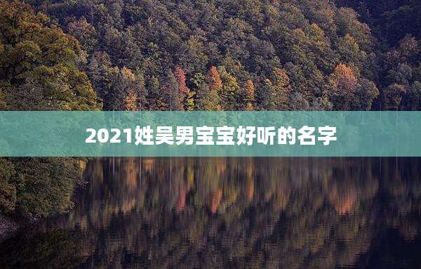 2021姓吴男宝宝好听的名字