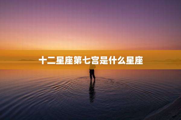 十二星座第七宫是什么星座