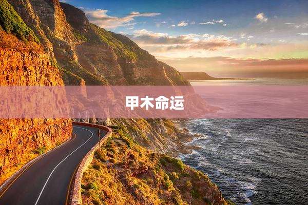 甲木命运