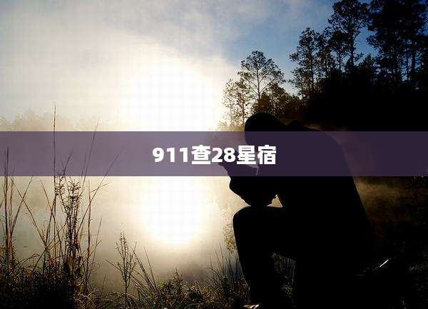 911查28星宿