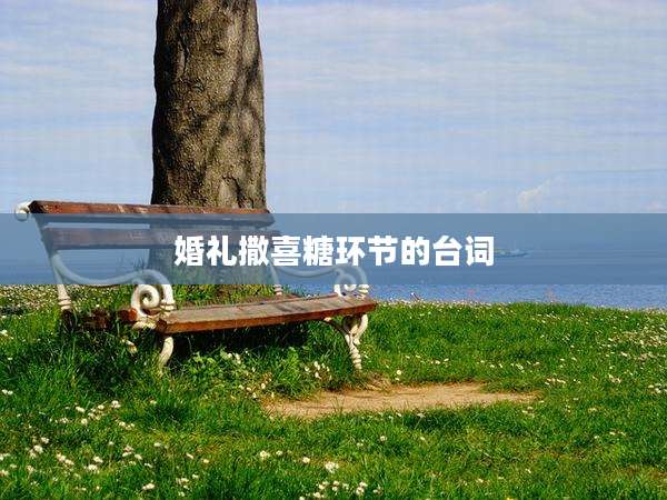 婚礼撒喜糖环节的台词