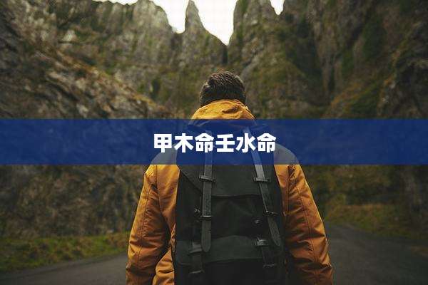 甲木命壬水命
