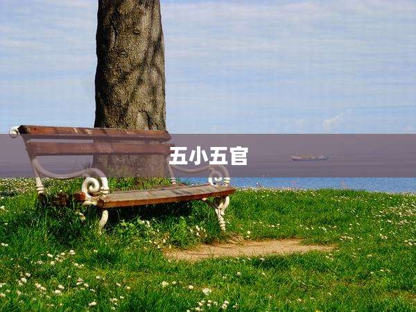 五小五官
