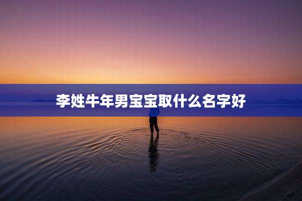 李姓牛年男宝宝取什么名字好