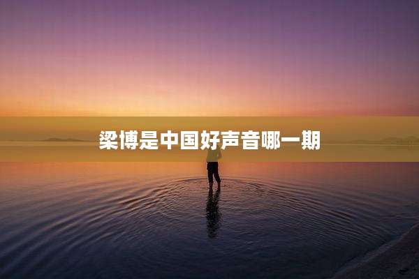梁博是中国好声音哪一期