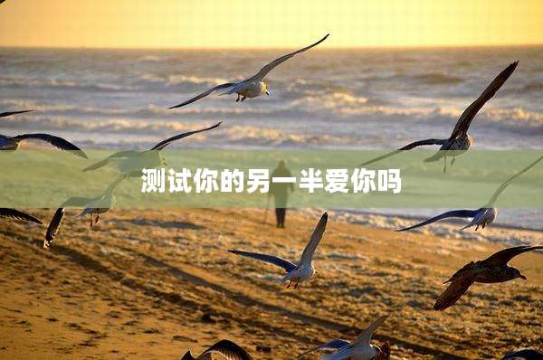 测试你的另一半爱你吗