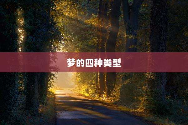 梦的四种类型