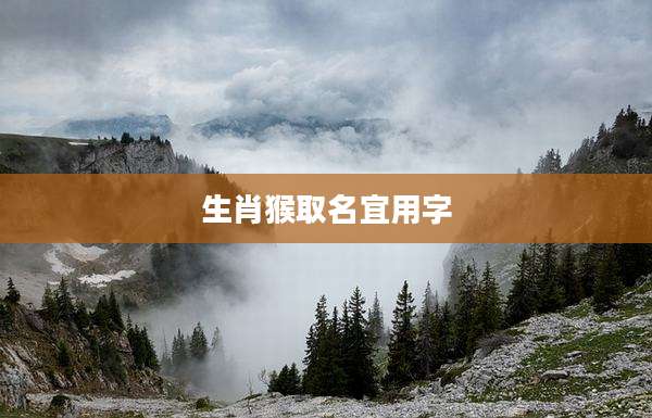 生肖猴取名宜用字