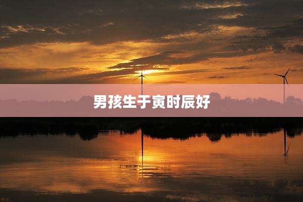 男孩生于寅时辰好