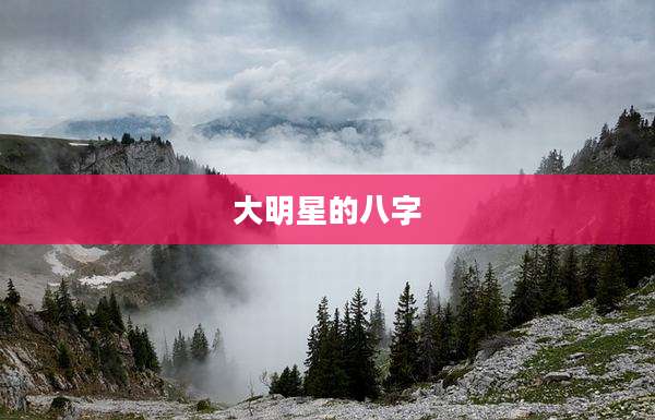 大明星的八字