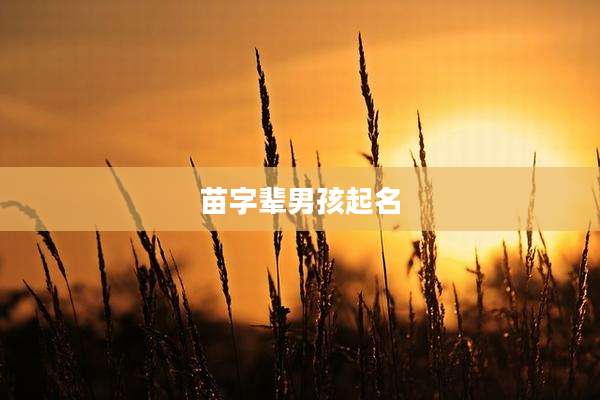 苗字辈男孩起名