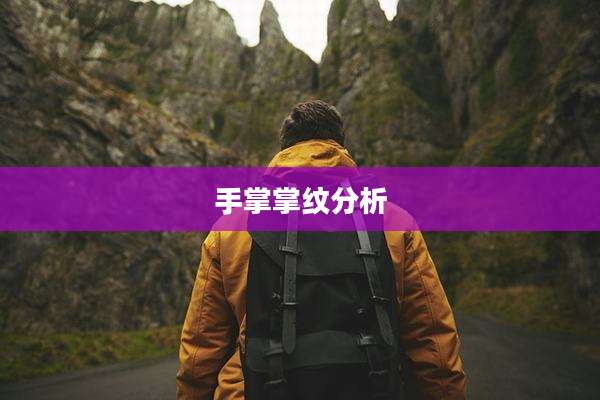手掌掌纹分析