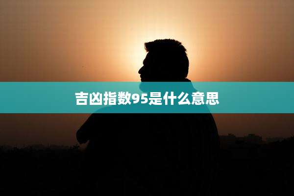 吉凶指数95是什么意思