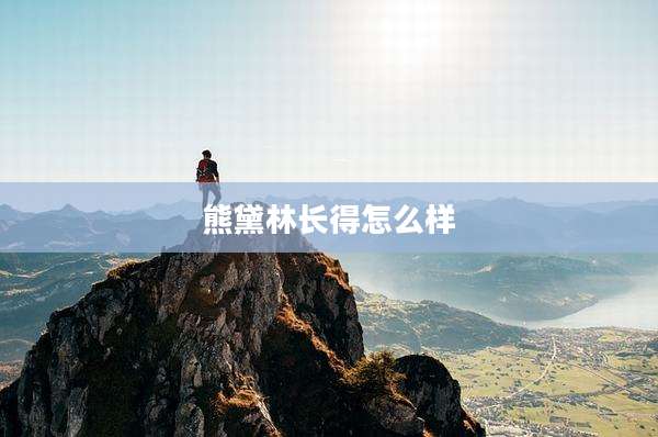 熊黛林长得怎么样