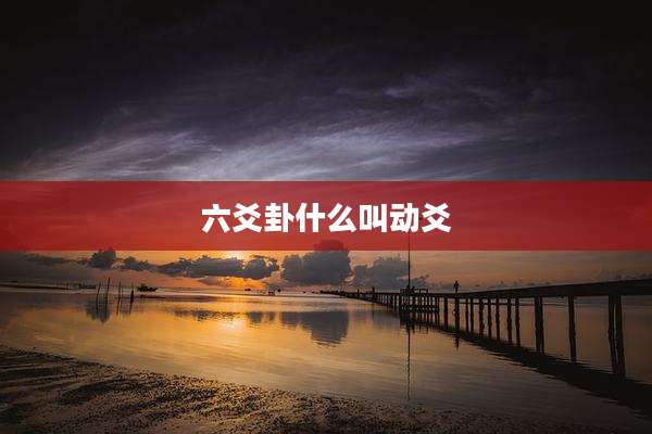 六爻卦什么叫动爻