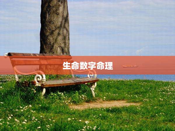 生命数字命理