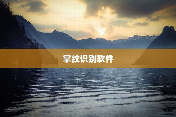 掌纹识别软件