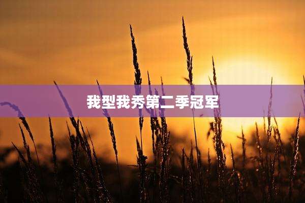 我型我秀第二季冠军