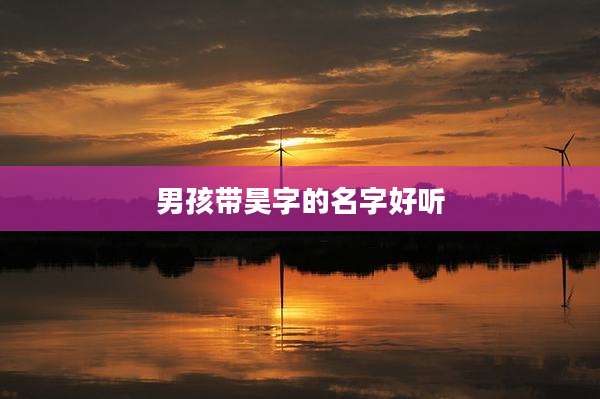 男孩带昊字的名字好听