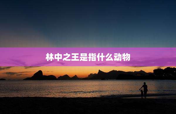 林中之王是指什么动物