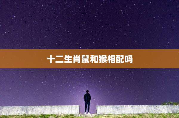 十二生肖鼠和猴相配吗