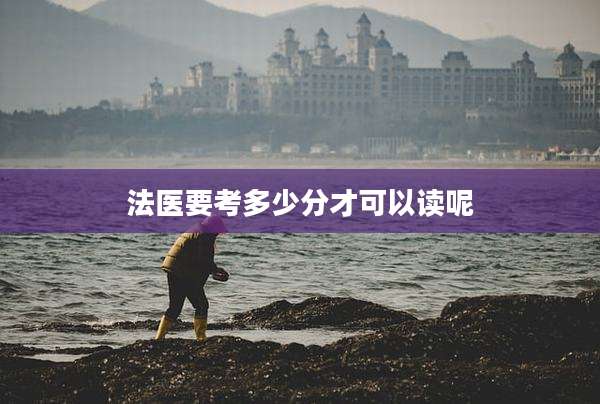 法医要考多少分才可以读呢