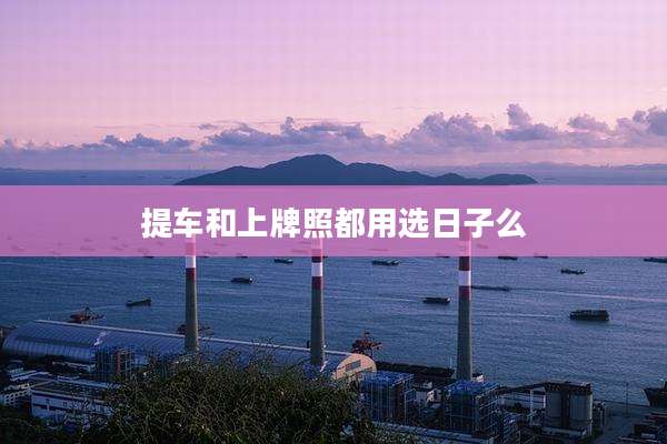 提车和上牌照都用选日子么