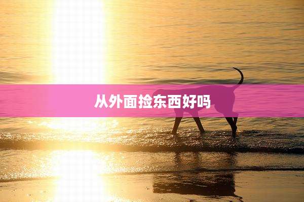 从外面捡东西好吗