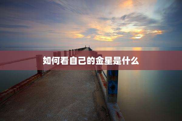如何看自己的金星是什么