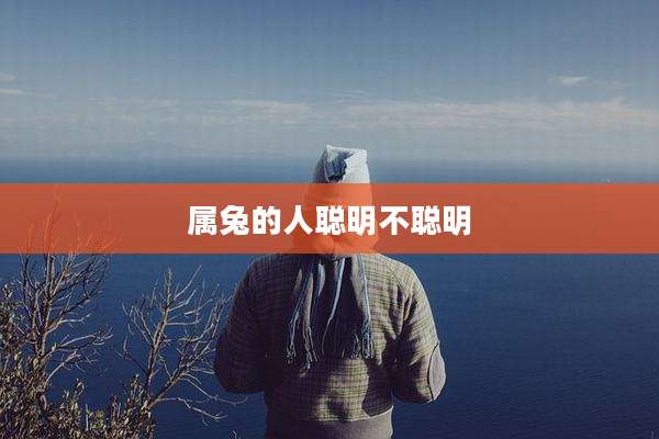 属兔的人聪明不聪明