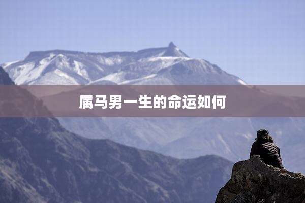 属马男一生的命运如何