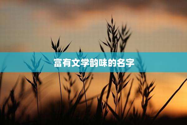 富有文学韵味的名字