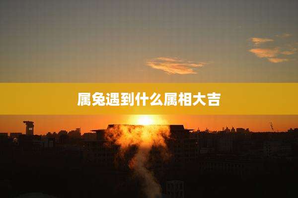 属兔遇到什么属相大吉