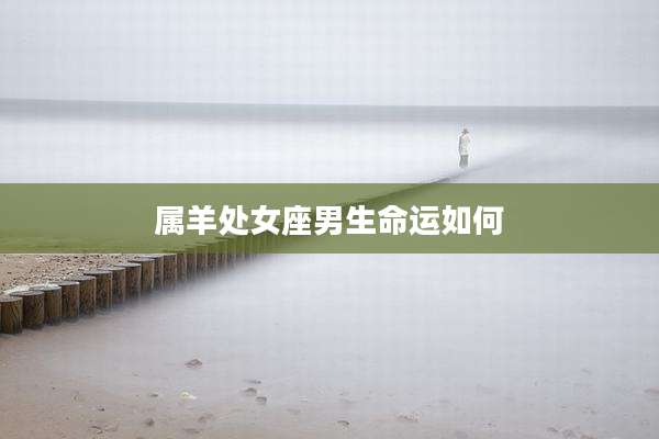 属羊处女座男生命运如何